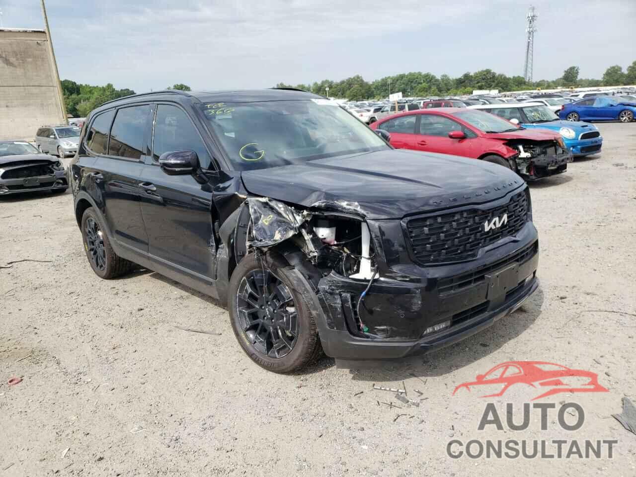 KIA TELLURIDE 2022 - 5XYP5DHC6NG210996