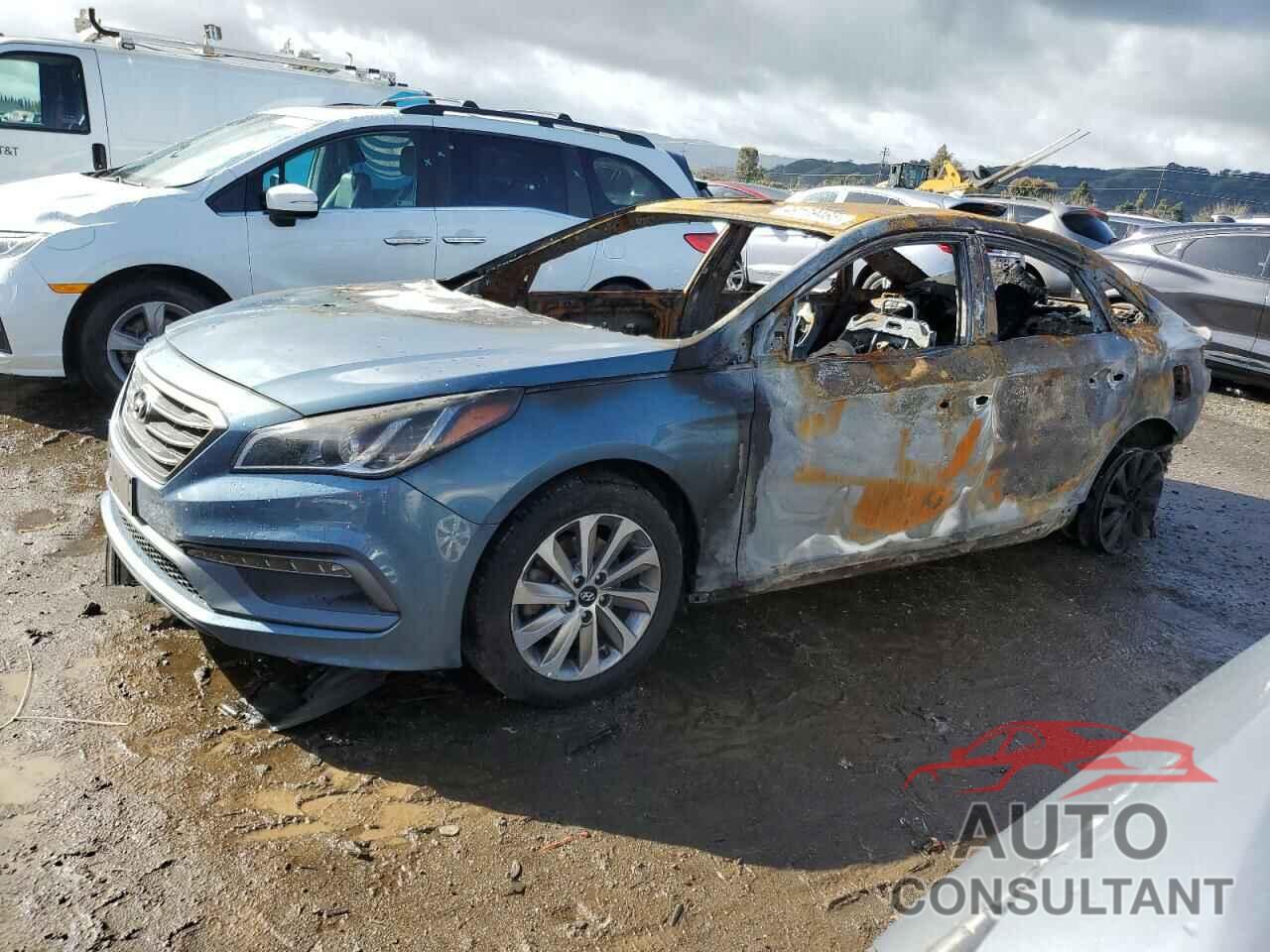HYUNDAI SONATA 2016 - 5NPE34AF7GH379177