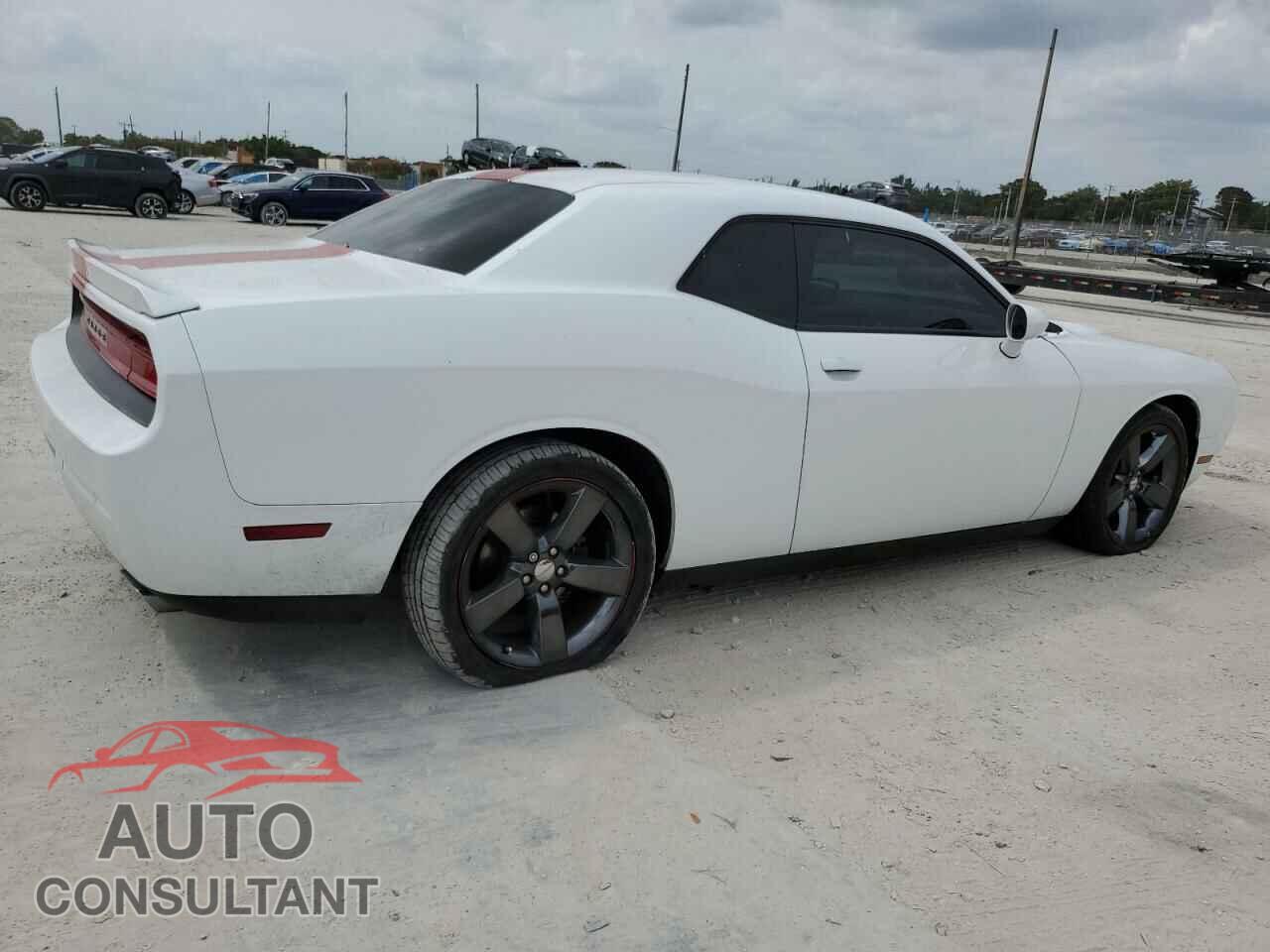 DODGE CHALLENGER 2013 - 2C3CDYAG7DH524229