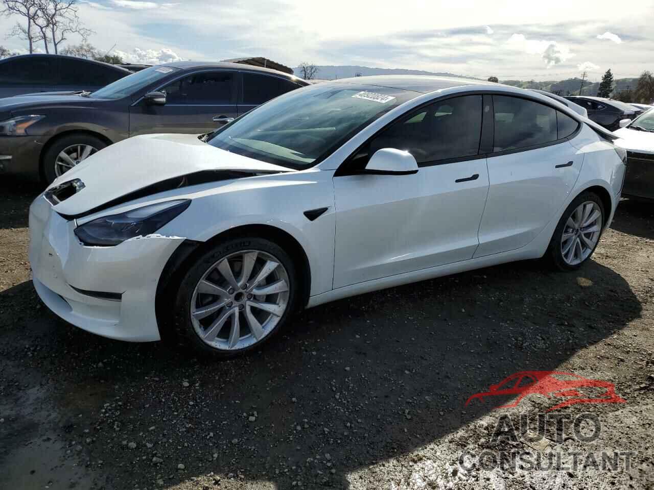 TESLA MODEL 3 2022 - 5YJ3E1EA1NF202859