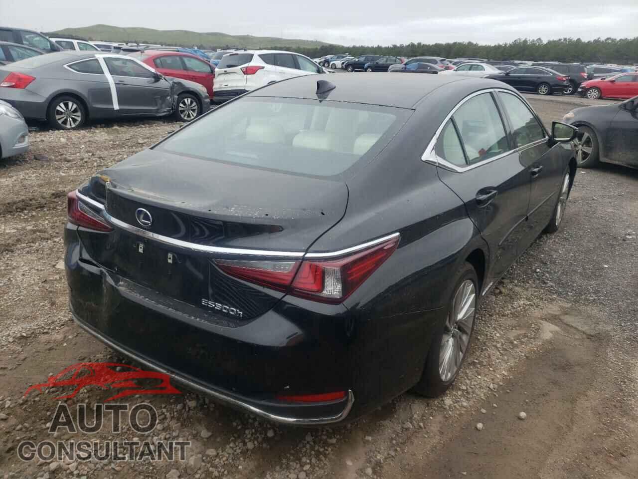 LEXUS ES300 2022 - 58AEA1C19NU013119