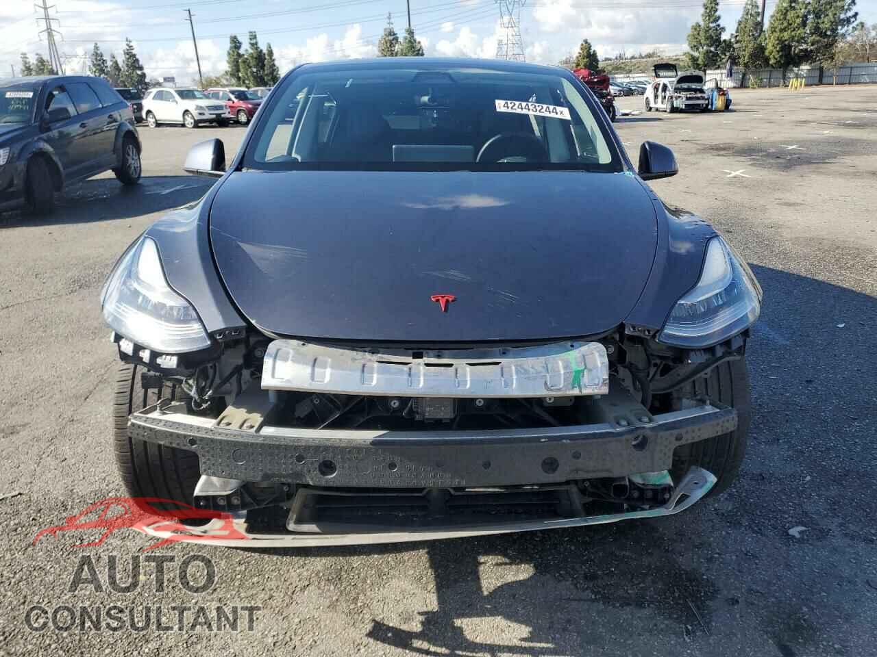 TESLA MODEL Y 2020 - 5YJYGDEEXLF041929