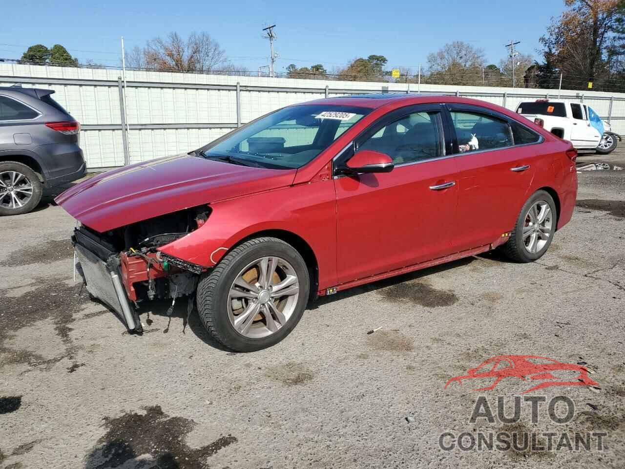 HYUNDAI SONATA 2019 - 5NPE34AF7KH750539