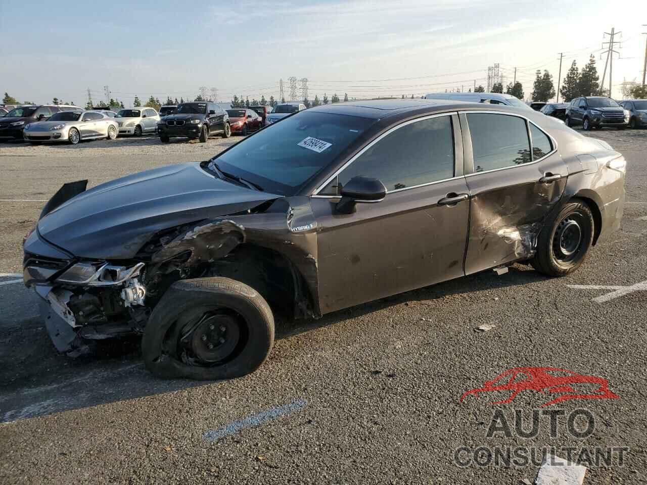 TOYOTA CAMRY 2019 - 4T1B31HK4KU511049