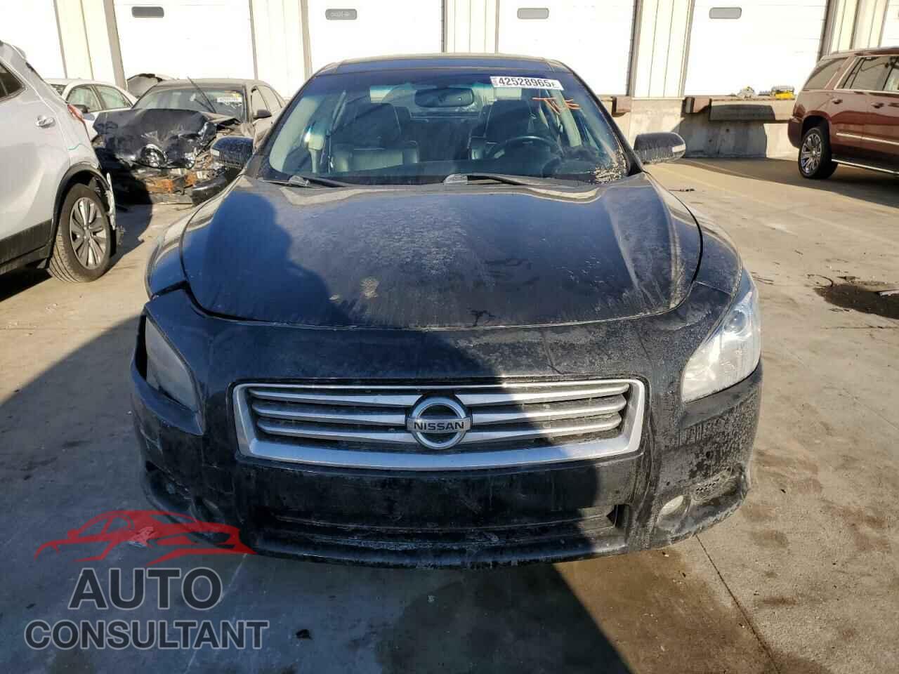 NISSAN MAXIMA 2013 - 1N4AA5AP5DC813063