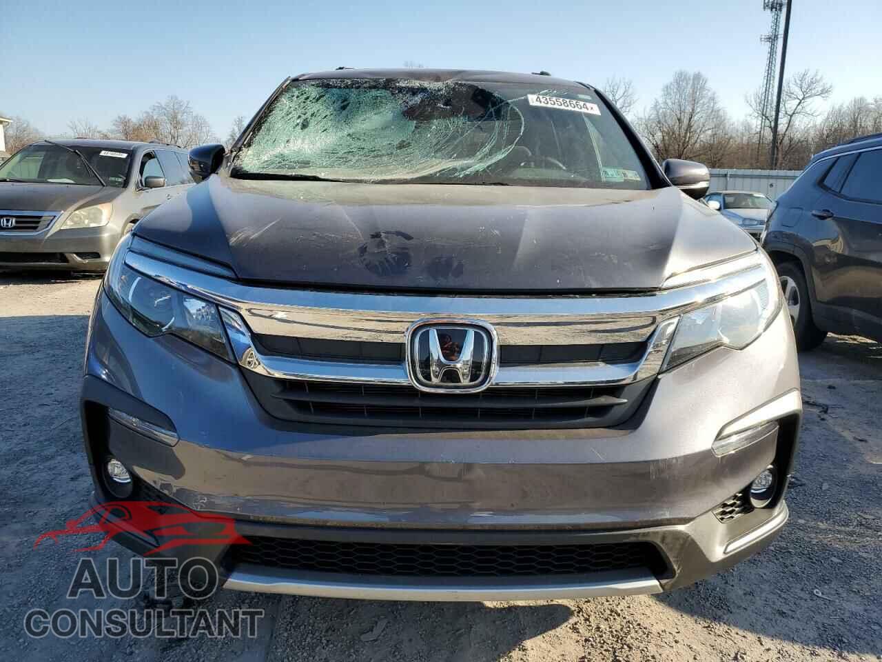 HONDA PILOT 2019 - 5FNYF6H38KB045131