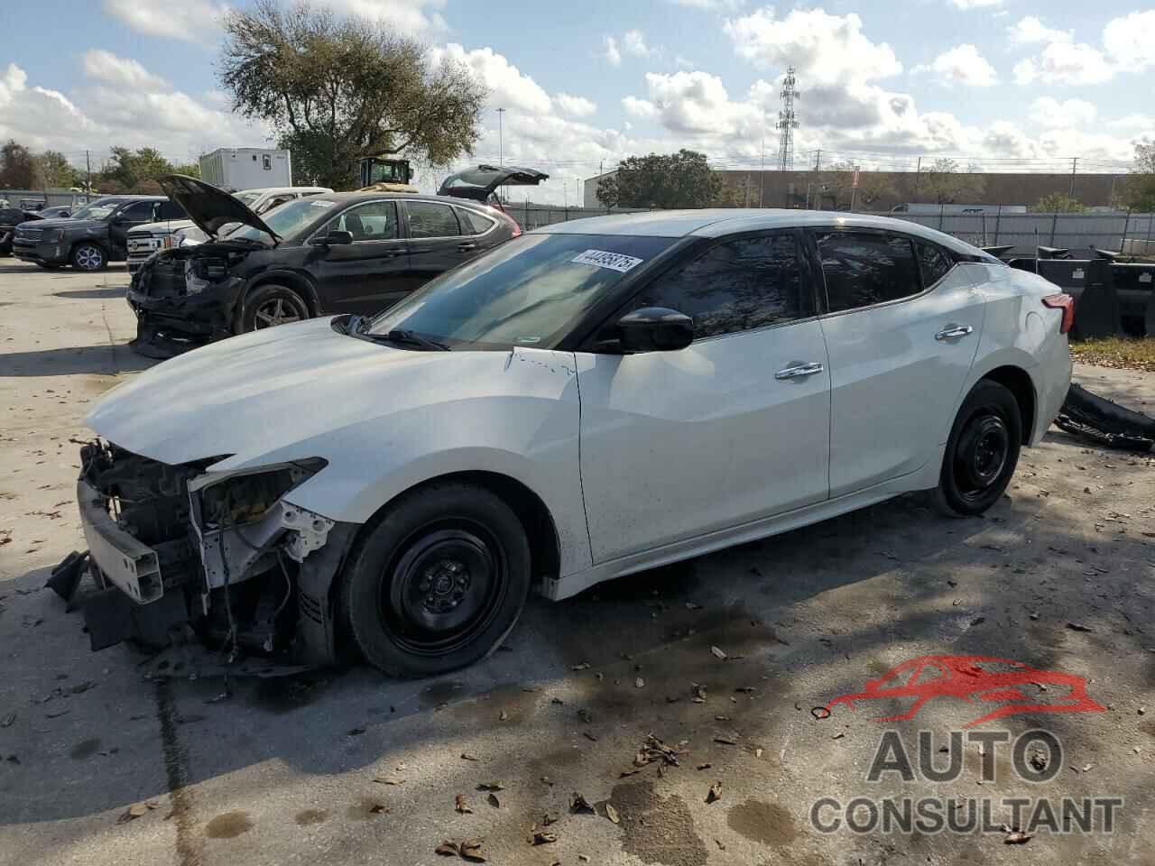 NISSAN MAXIMA 2016 - 1N4AA6AP6GC442425