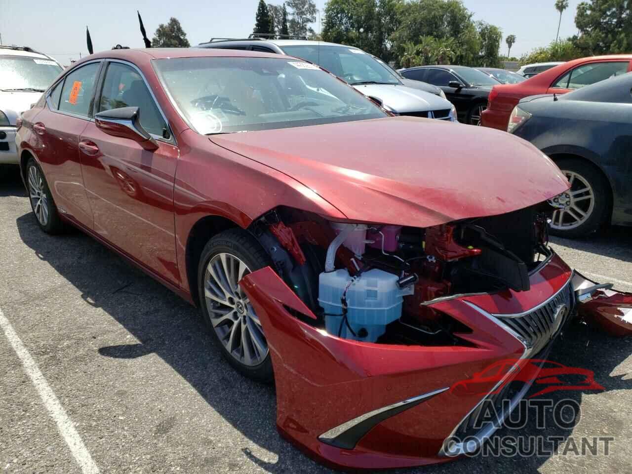 LEXUS ES300 2021 - 58ADA1C18MU005944