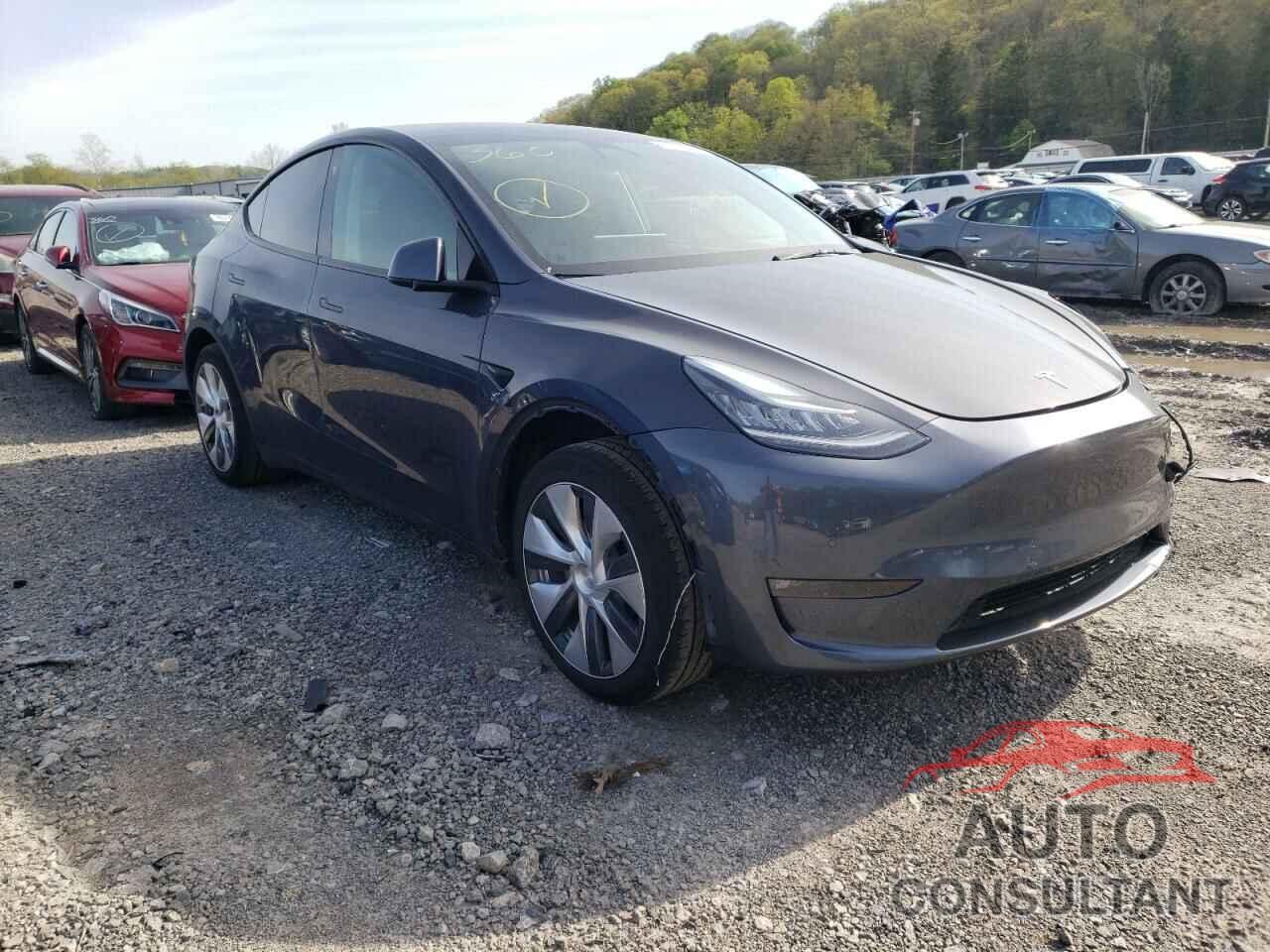 TESLA MODEL Y 2021 - 5YJYGDEE3MF241035
