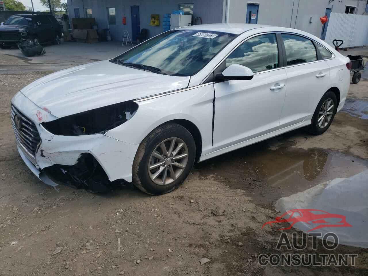HYUNDAI SONATA 2019 - 5NPE24AF0KH788228