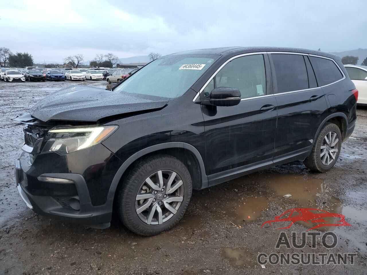 HONDA PILOT 2019 - 5FNYF5H58KB036456