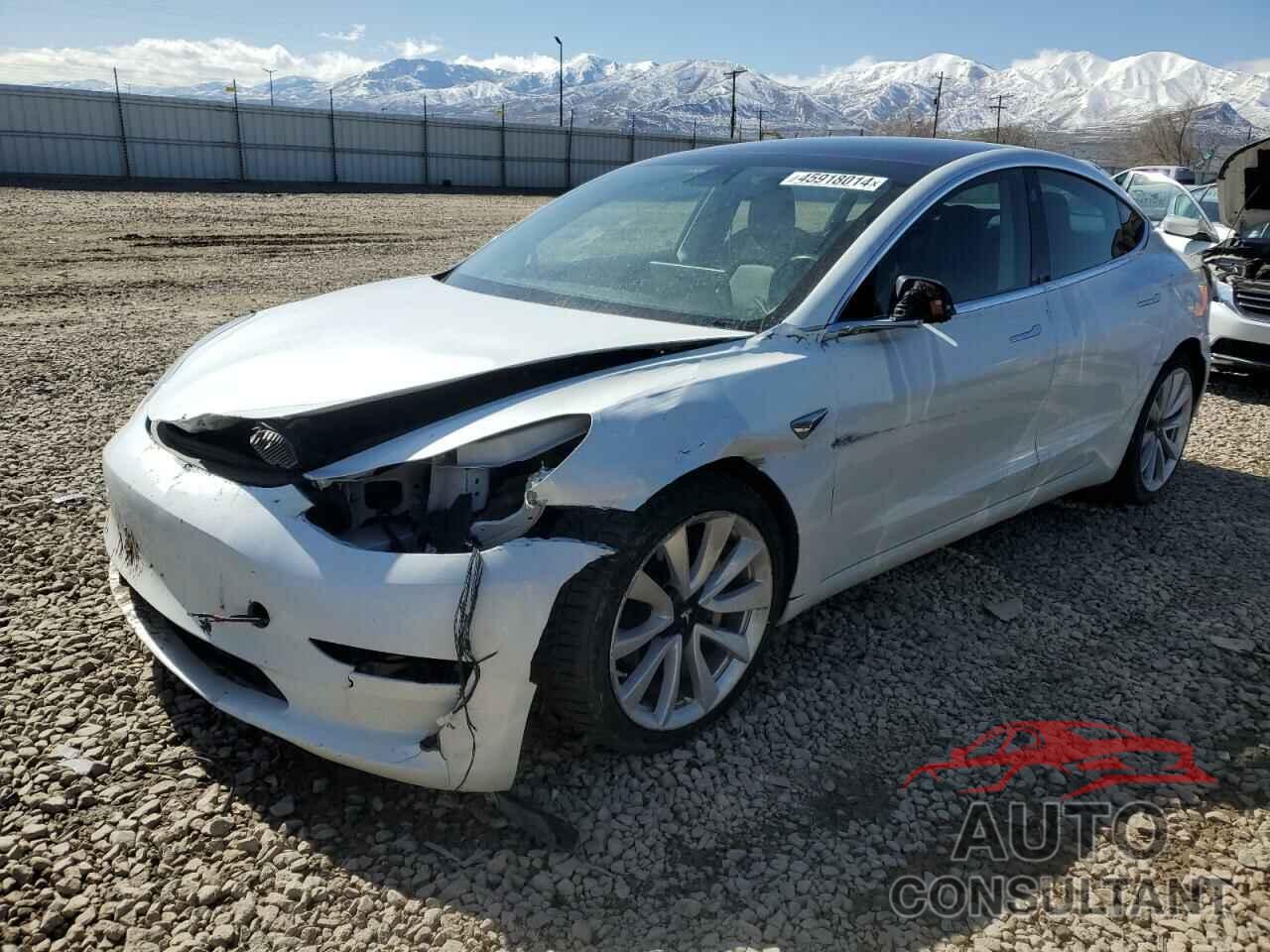 TESLA MODEL 3 2019 - 5YJ3E1EB7KF213031