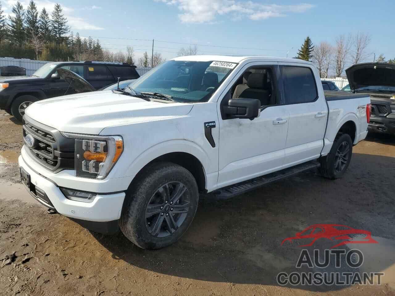 FORD F-150 2023 - 1FTEW1EP8PKD95124