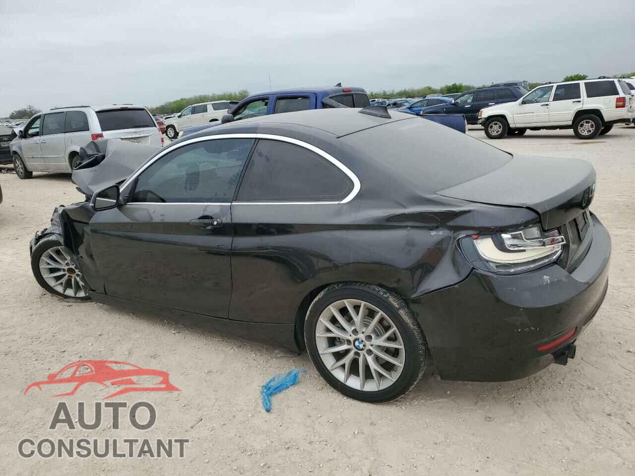 BMW 2 SERIES 2016 - WBA1F9C59GV546496
