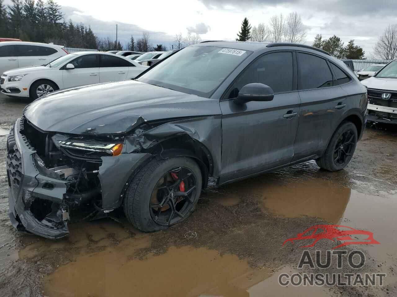 AUDI SQ5 SPORTB 2024 - WA134AFY3R2143797