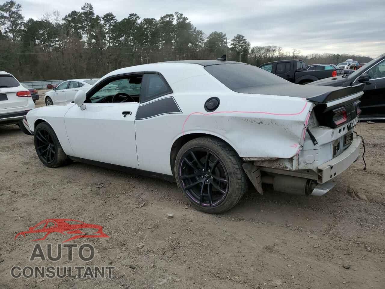 DODGE CHALLENGER 2021 - 2C3CDZFJ1MH513401
