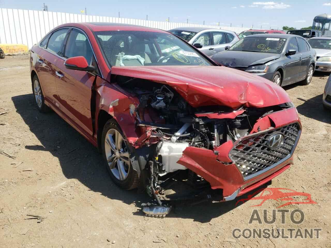 HYUNDAI SONATA 2019 - 5NPE34AF7KH741789