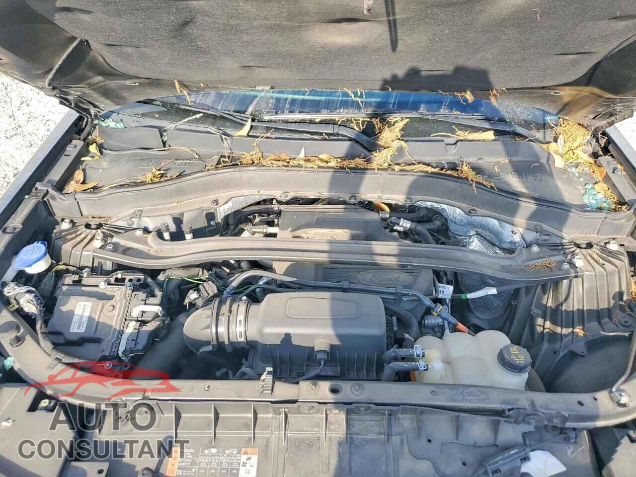 FORD EXPLORER 2020 - 1FMSK7FH2LGA61608