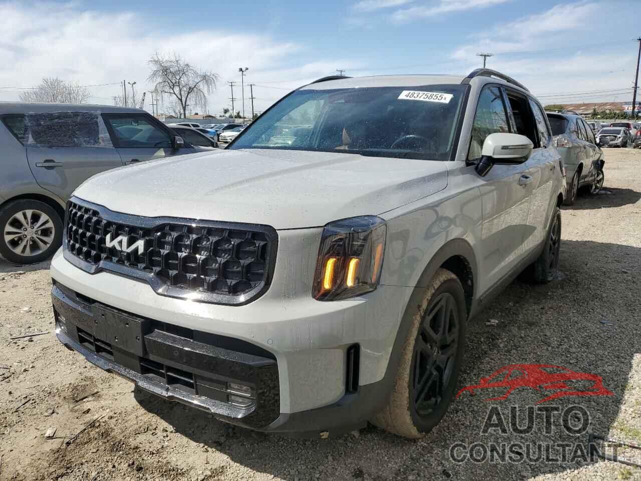 KIA TELLURIDE 2024 - 5XYP5DGC7RG431157