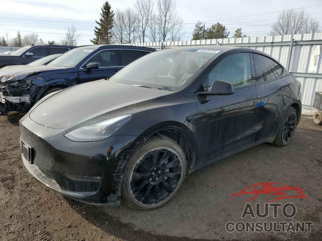 TESLA MODEL Y 2024 - 7SAYGDEE0RF034080