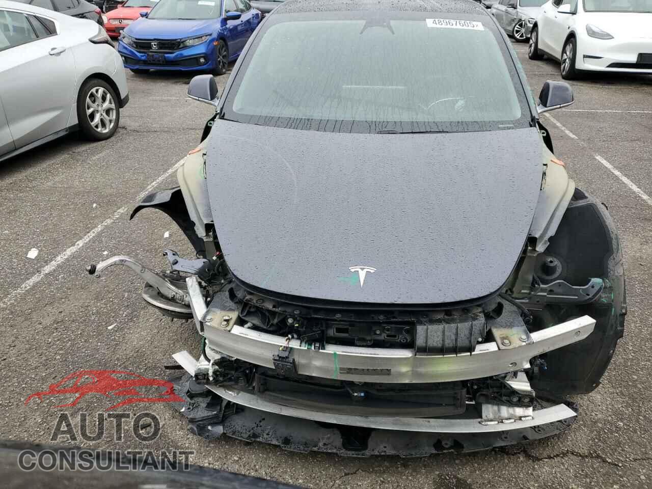 TESLA MODEL 3 2019 - 5YJ3E1EA9KF447453