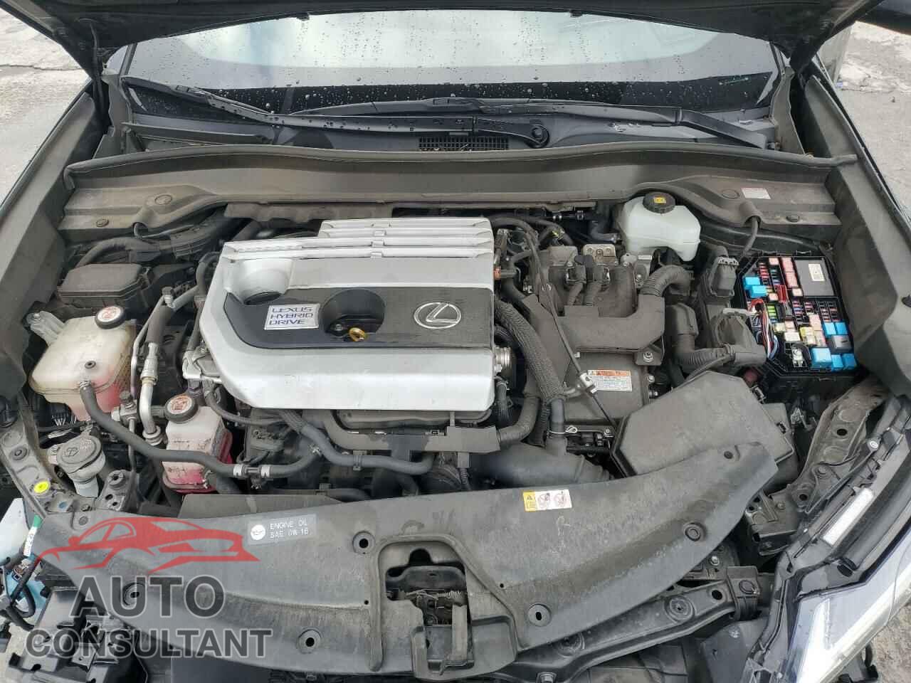 LEXUS UX 250H 2019 - JTHU9JBH0K2019248