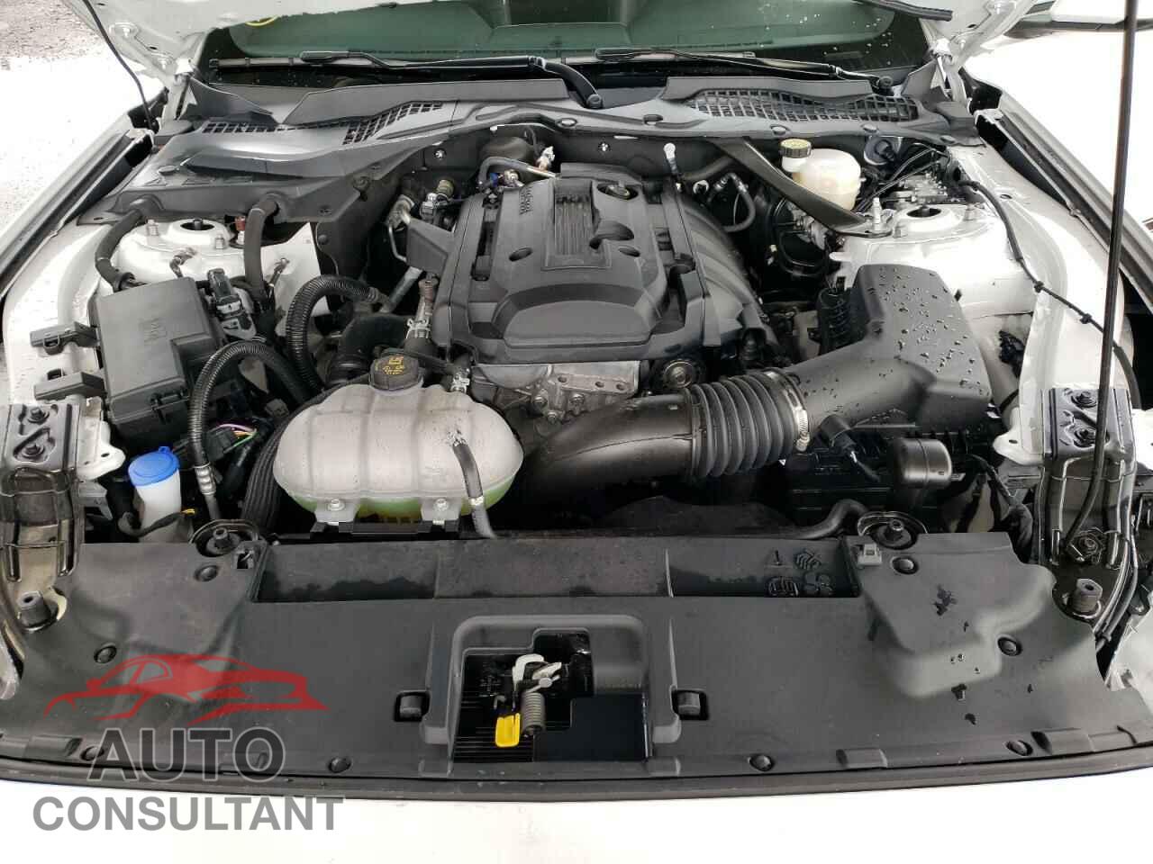 FORD MUSTANG 2020 - 1FATP8UH0L5168936