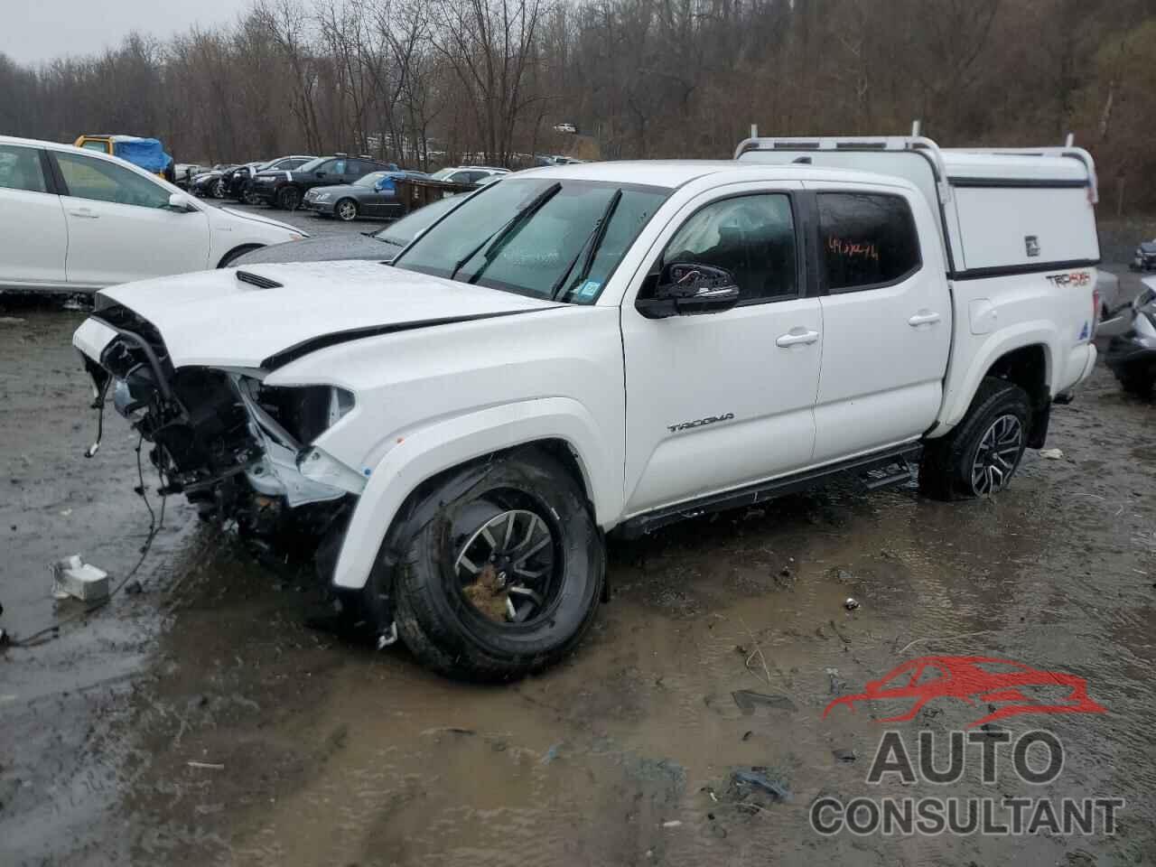 TOYOTA TACOMA 2023 - 3TMCZ5AN0PM645071