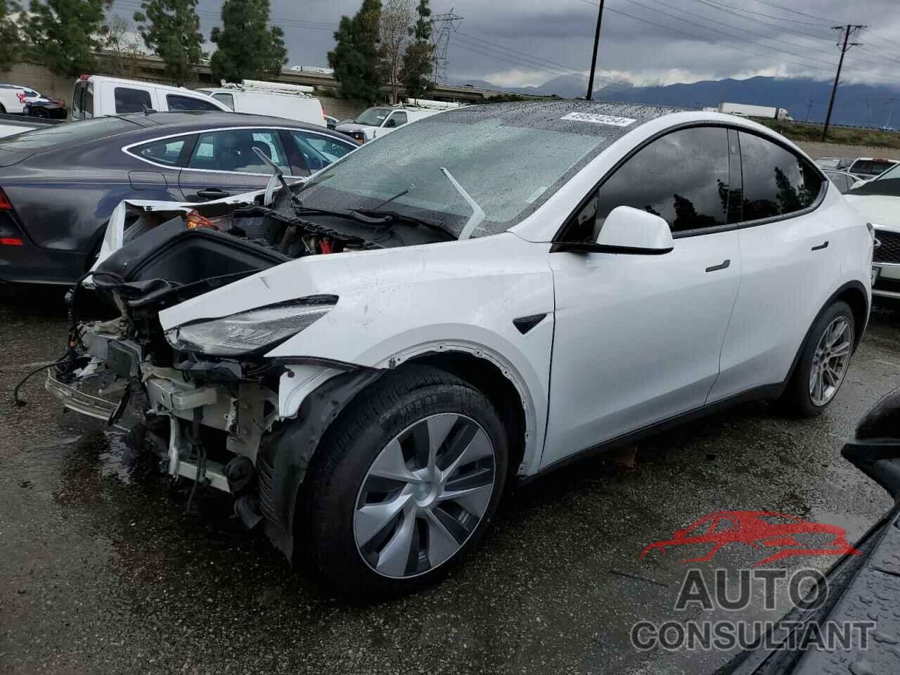 TESLA MODEL Y 2022 - 7SAYGAEE5NF574744