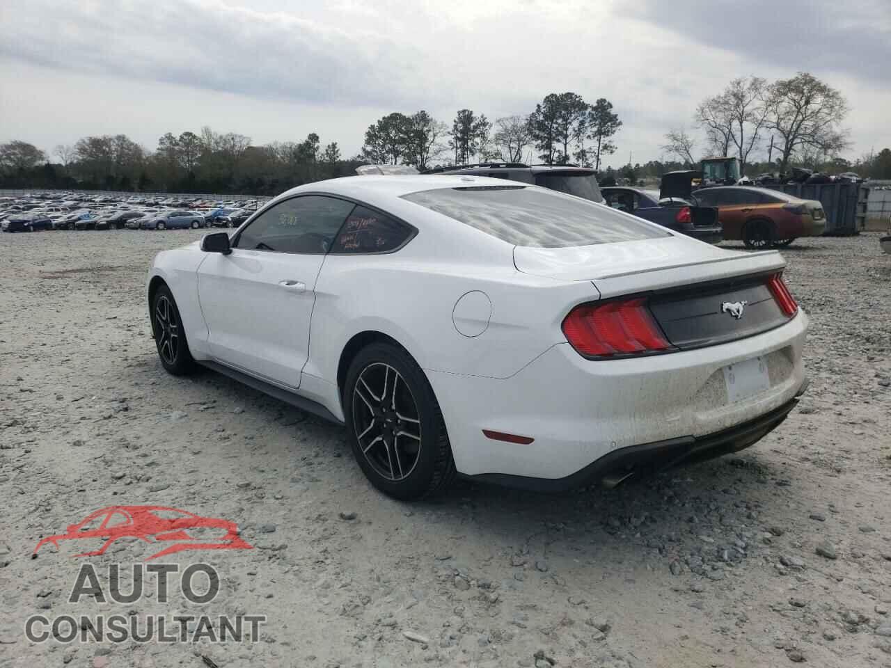 FORD MUSTANG 2019 - 1FA6P8TH3K5172539