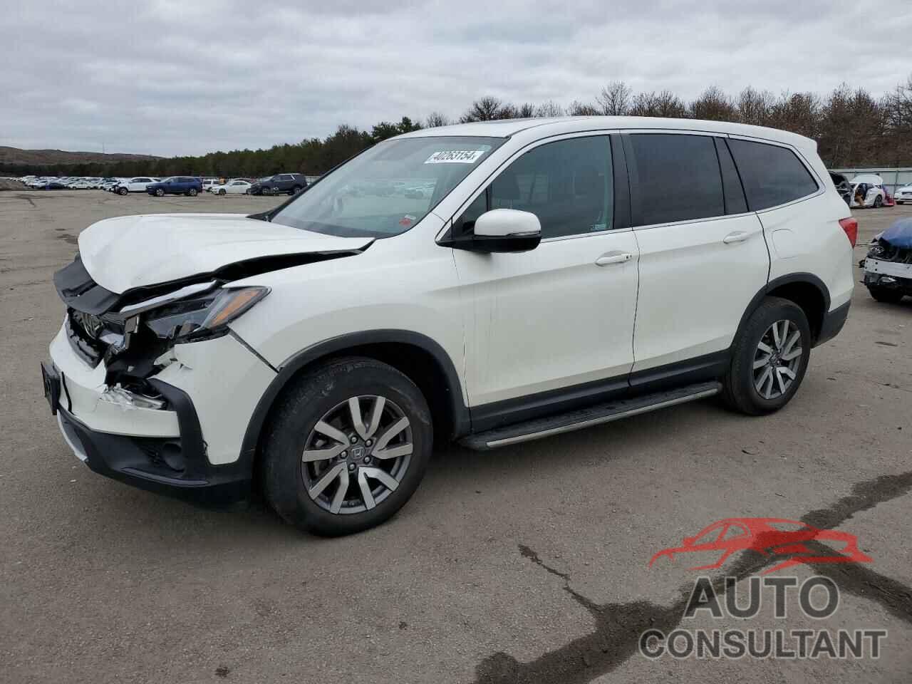 HONDA PILOT 2019 - 5FNYF6H54KB080508