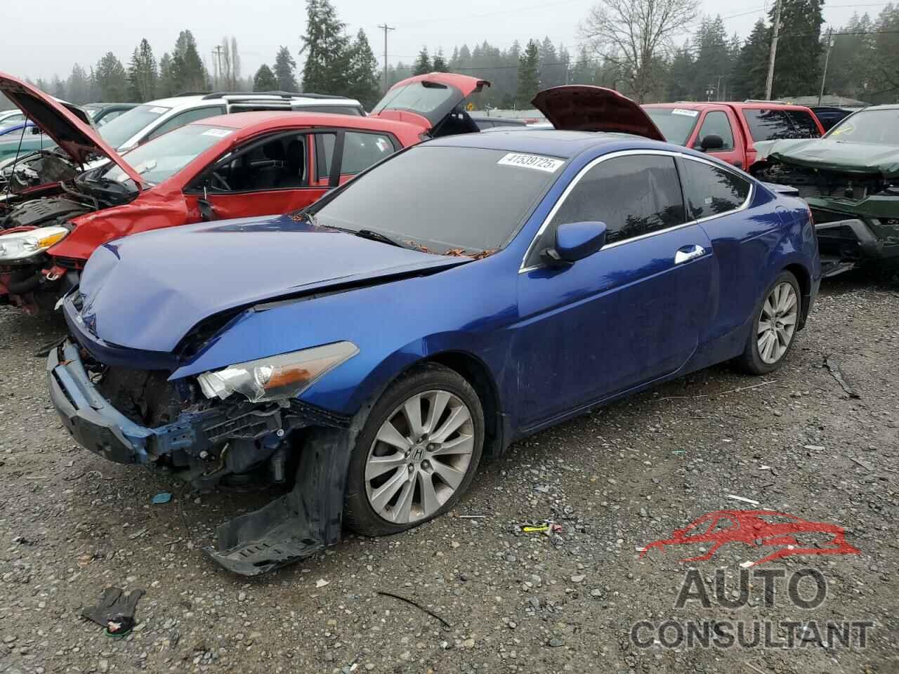 HONDA ACCORD 2009 - 1HGCS22869A005539