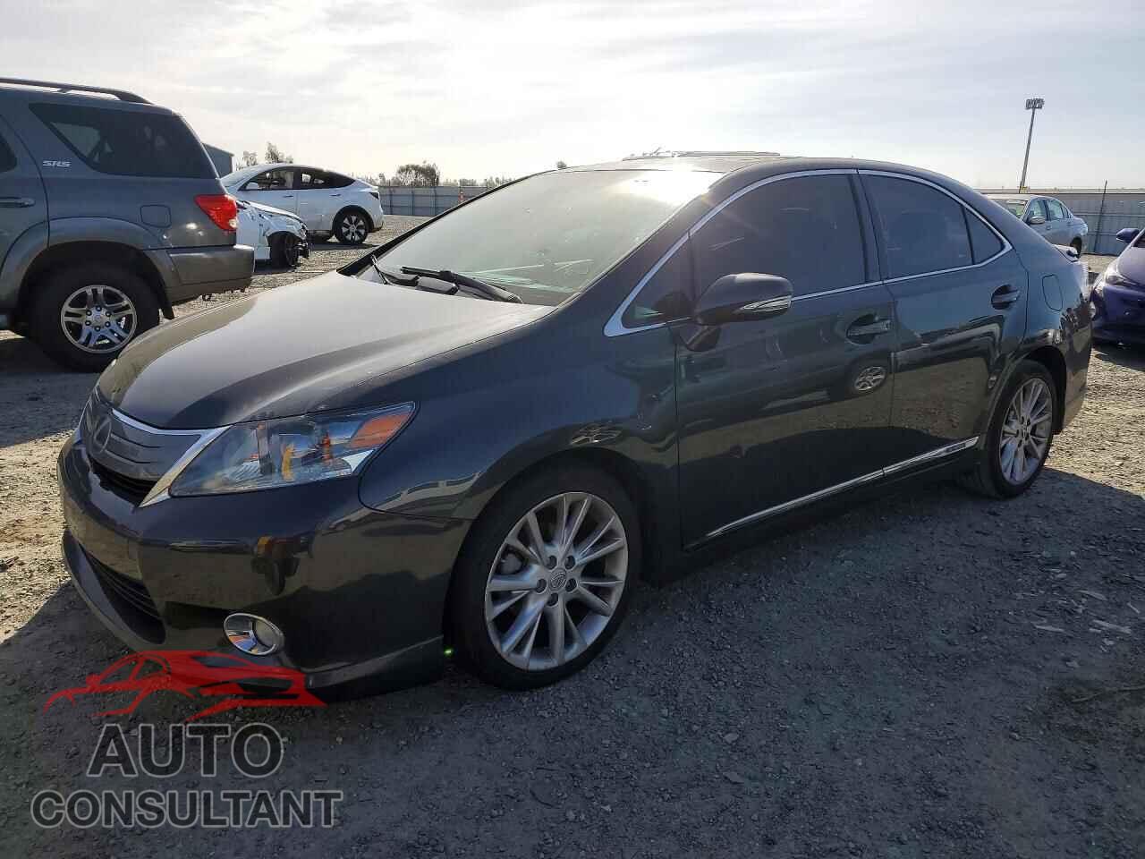 LEXUS HS 2010 - JTHBB1BA0A2025936