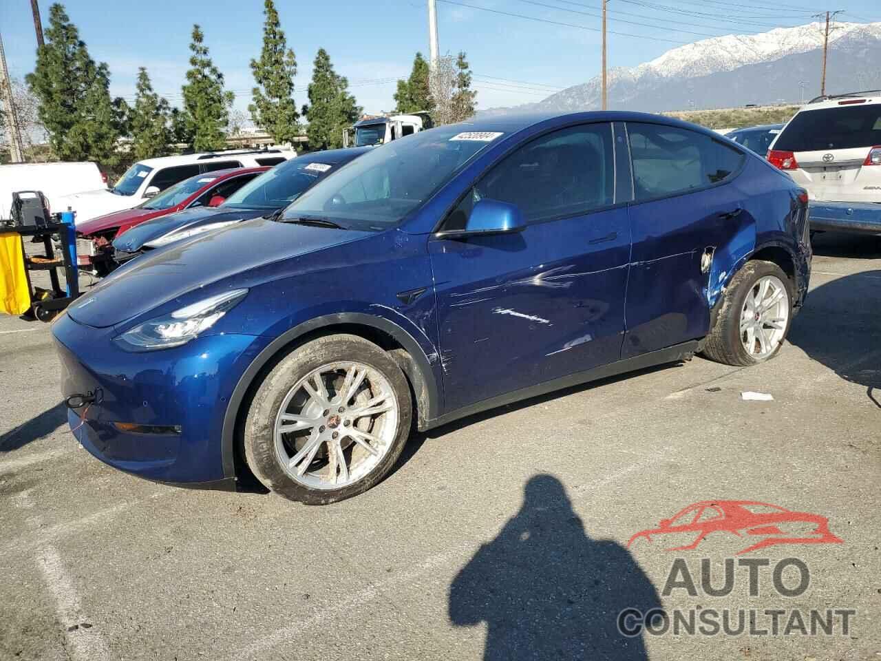 TESLA MODEL Y 2022 - 7SAYGDEE0NF357216