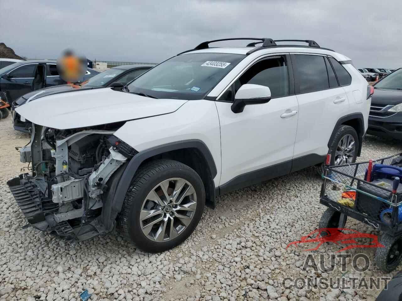 TOYOTA RAV4 2019 - 2T3C1RFV9KW044627