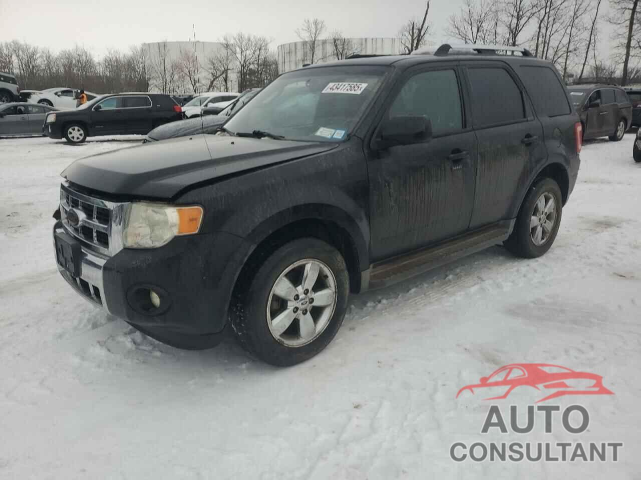 FORD ESCAPE 2010 - 1FMCU9EG3AKC99738