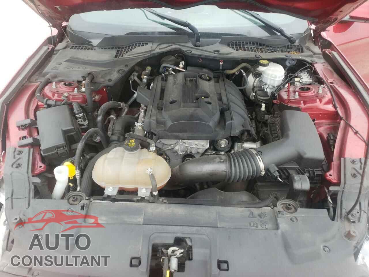 FORD MUSTANG 2019 - 1FA6P8TH1K5153908