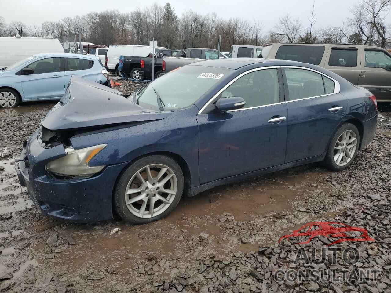 NISSAN MAXIMA 2010 - 1N4AA5AP6AC846374