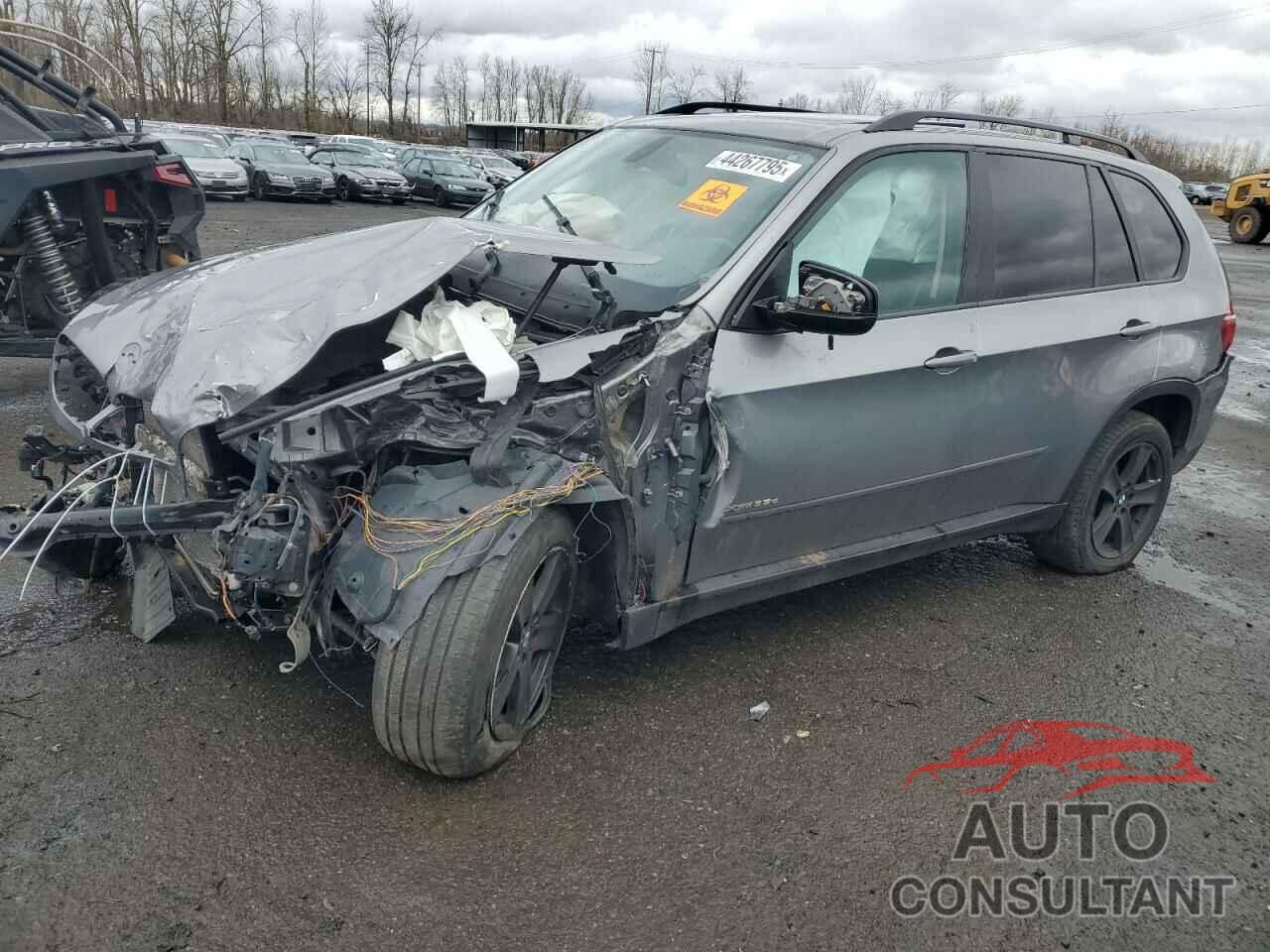 BMW X5 2011 - 5UXZW0C52BL368936