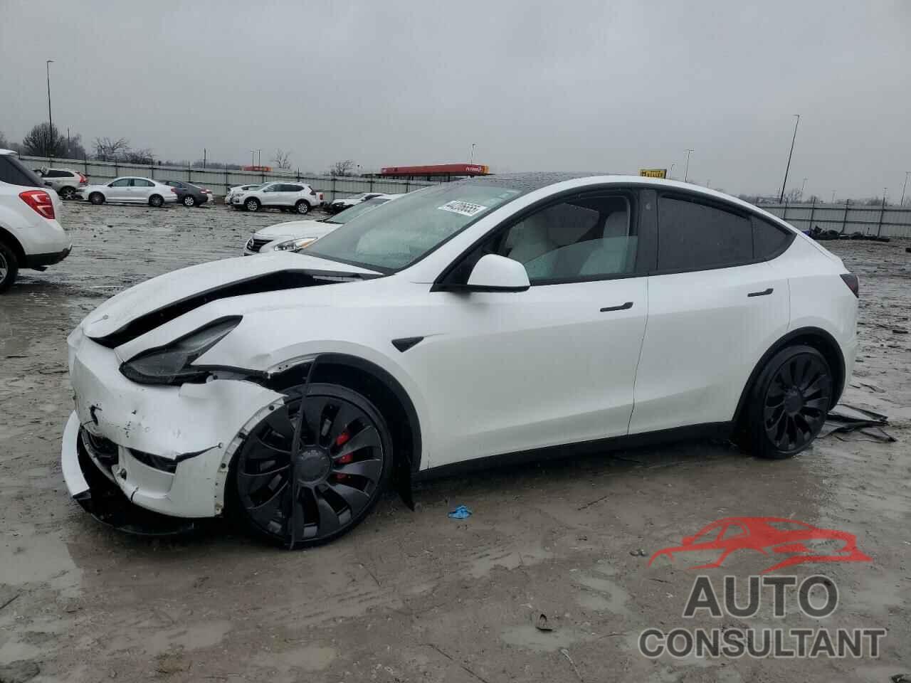 TESLA MODEL Y 2022 - 7SAYGDEF0NF539393