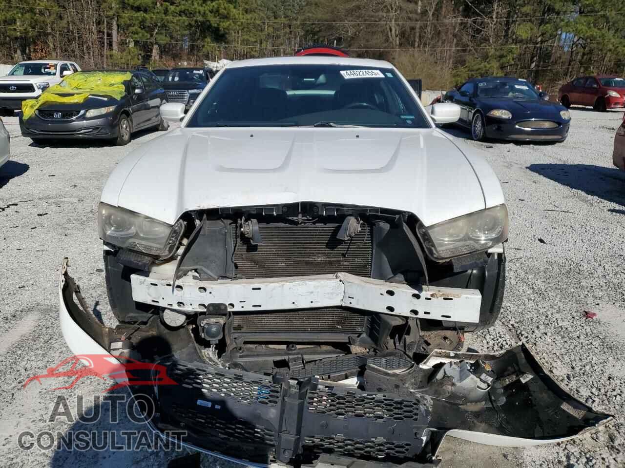 DODGE CHARGER 2014 - 2C3CDXCT8EH334154