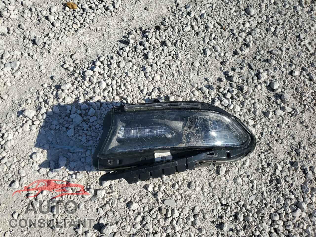 DODGE CHARGER 2020 - 2C3CDXGJXLH130283