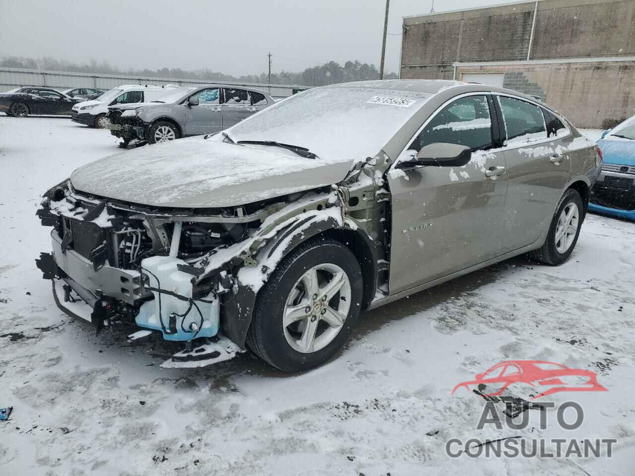 CHEVROLET MALIBU 2024 - 1G1ZD5ST7RF171542