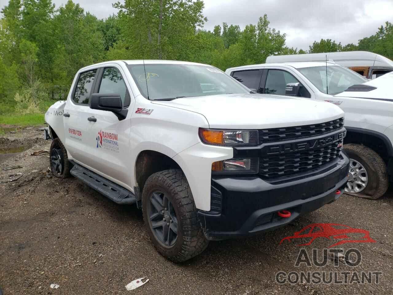 CHEVROLET SILVERADO 2019 - 1GCPYCEF6KZ195137