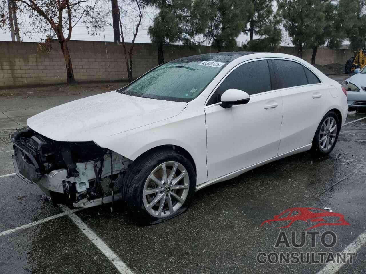 MERCEDES-BENZ A-CLASS 2019 - WDD3G4EBXKW006758