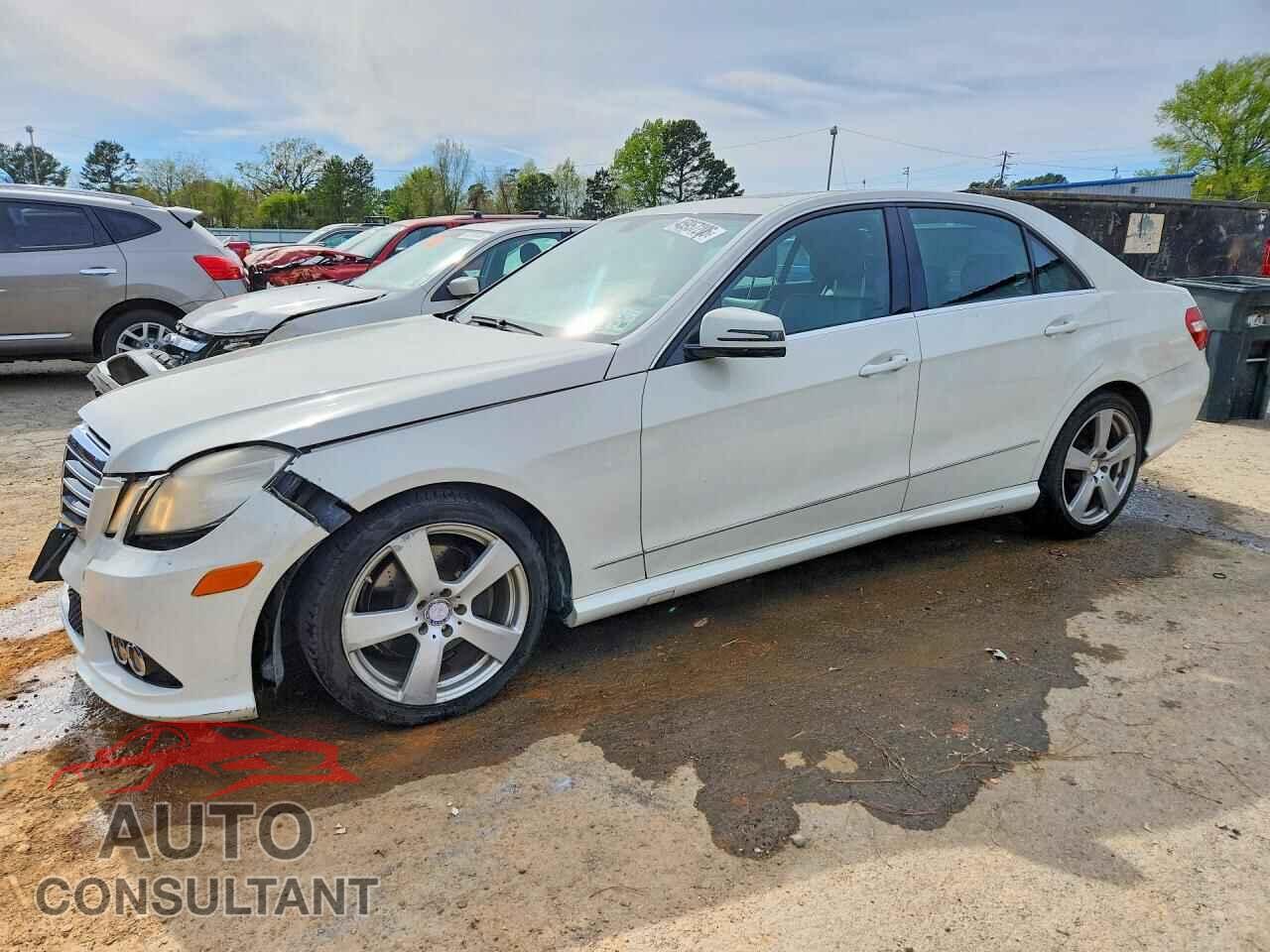 MERCEDES-BENZ E-CLASS 2010 - WDDHF8HB9AA129751