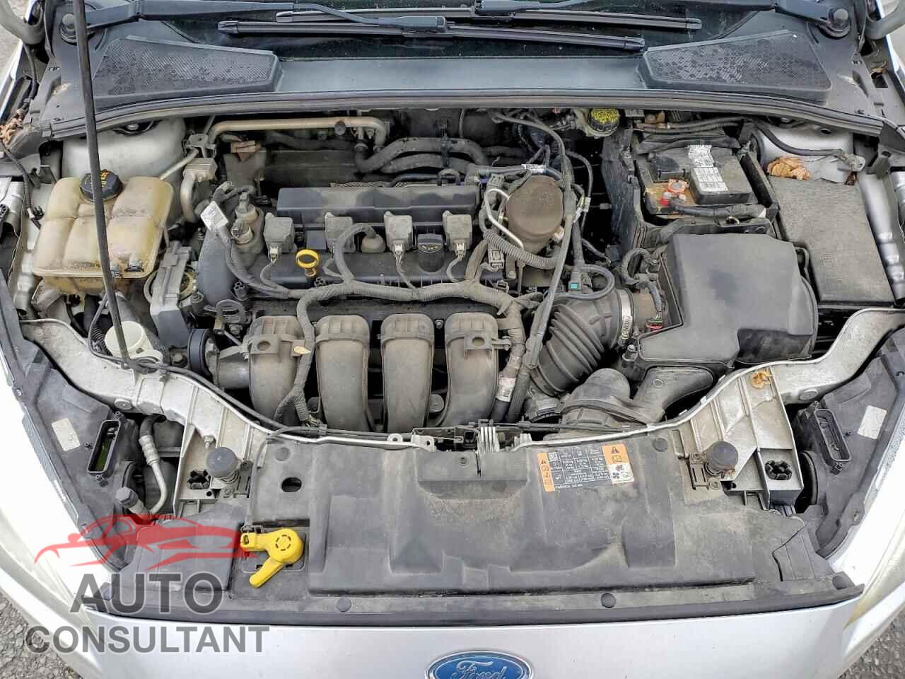FORD FOCUS 2016 - 1FADP3F24GL268636