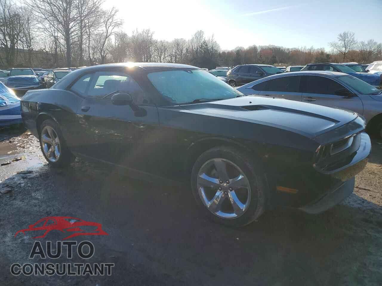 DODGE CHALLENGER 2014 - 2C3CDYAG0EH209855