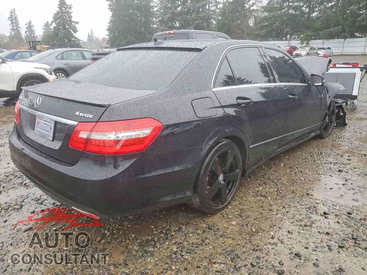 MERCEDES-BENZ E-CLASS 2010 - WDDHF8HB2AA079971