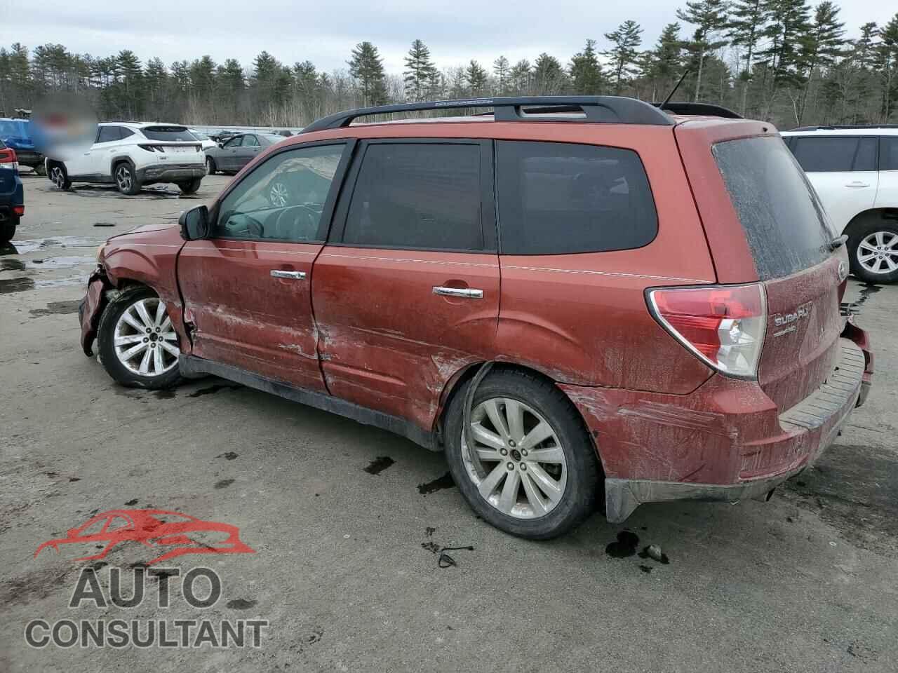 SUBARU FORESTER 2011 - JF2SHAEC8BH717262